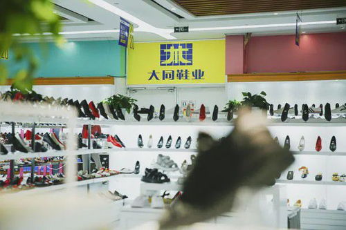大同鞋业巨变 重组商户租赁模式转向自营，能否助力鞋业王者归来？